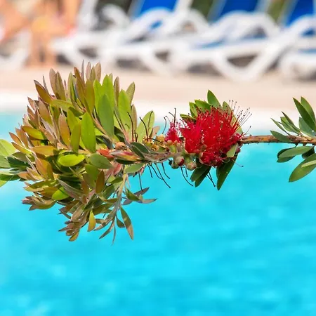 Sowell La Saint-Raphaël