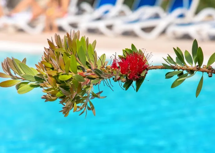 Sowell La Сен-Рафаэль